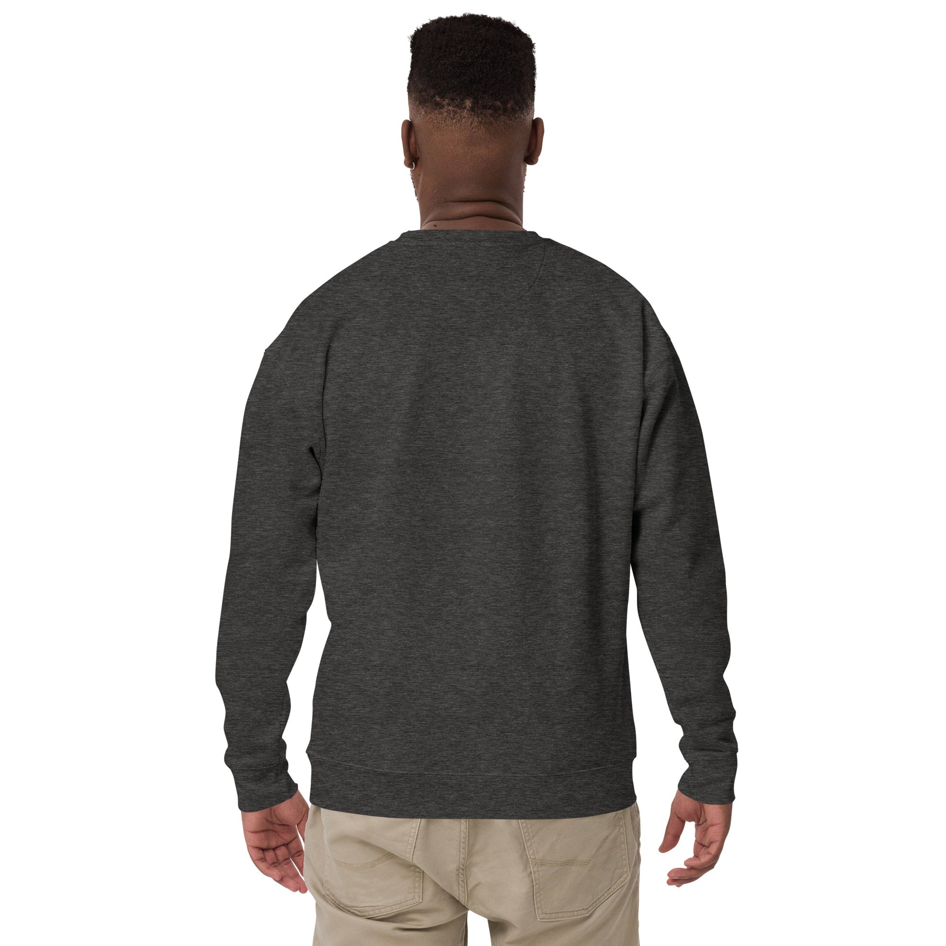 Back view of Mr Farts sweatshirt in charcoal
