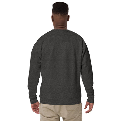 Back view of Mr Farts sweatshirt in charcoal